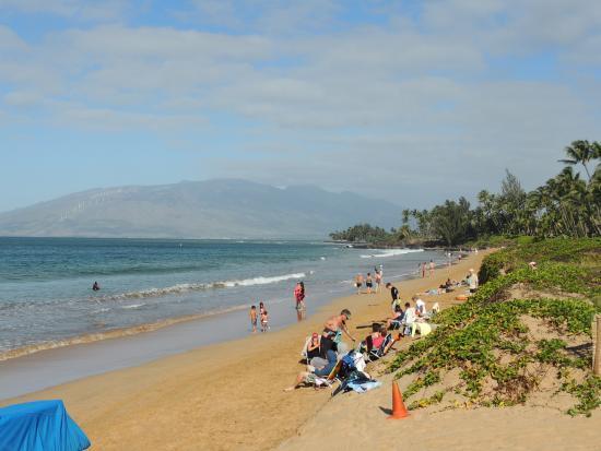 Amazing Kihei Kai Nani - Maui Vista One Bedroom Condos מראה חיצוני תמונה